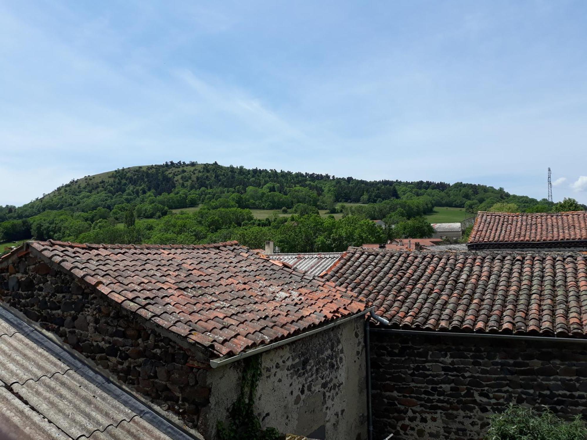 Maison De La Monne Bed & Breakfast Olloix Room photo